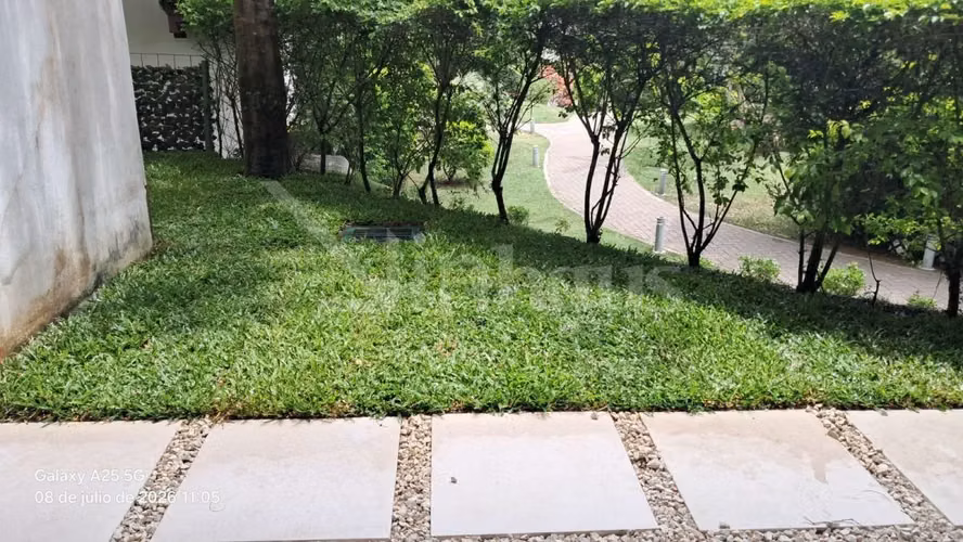 Alquiler de apartamento en primera planta con jardín