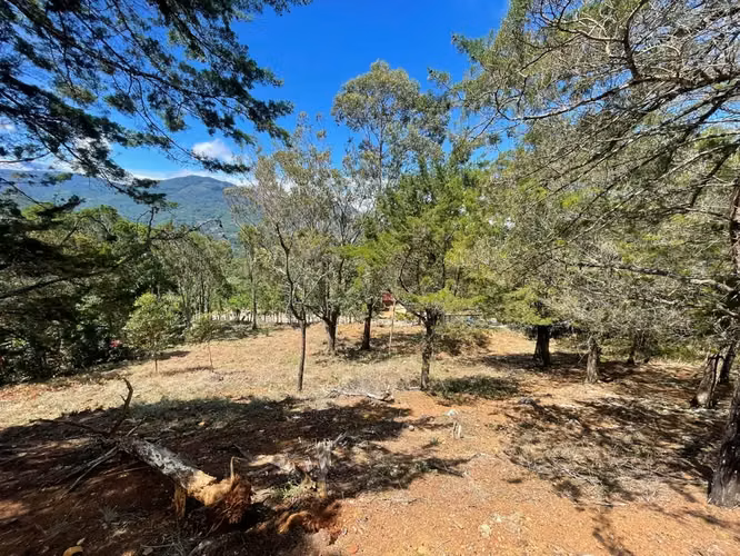 Lote de 1.916 m² en Tarrazú con Espectaculares Vistas