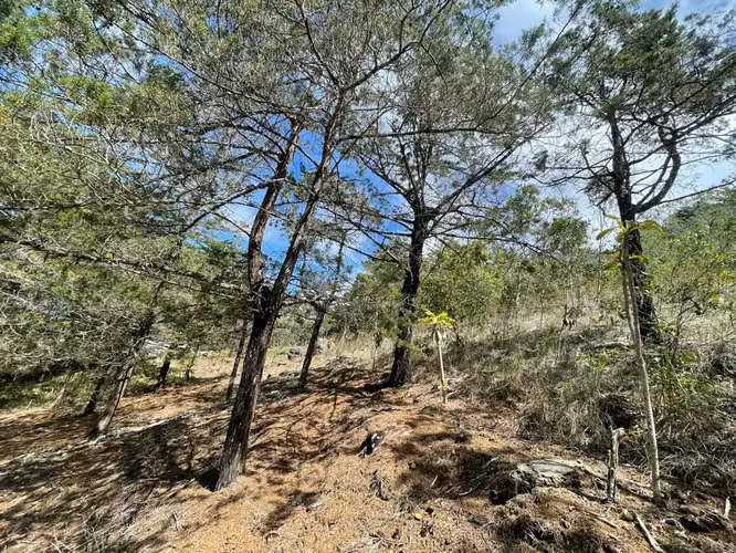 Lote de 1.916 m² en Tarrazú con Espectaculares Vistas