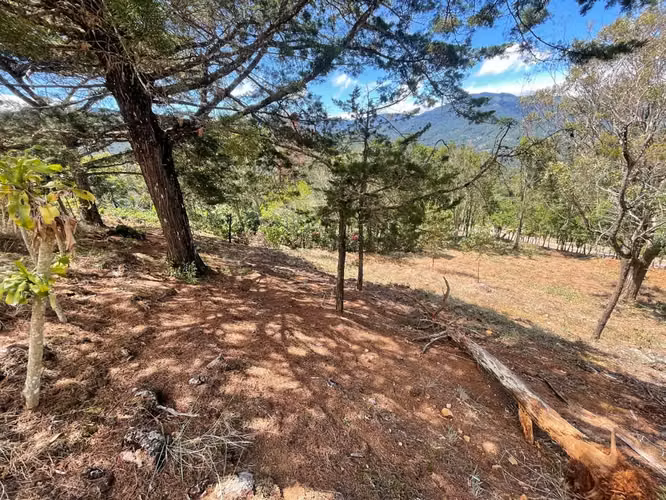 Lote de 1.916 m² en Tarrazú con Espectaculares Vistas