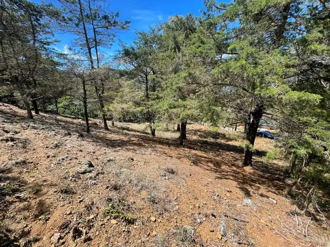 Lote de 1.916 m² en Tarrazú con Espectaculares Vistas