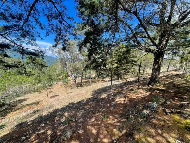 Lote de 1.916 m² en Tarrazú con Espectaculares Vistas