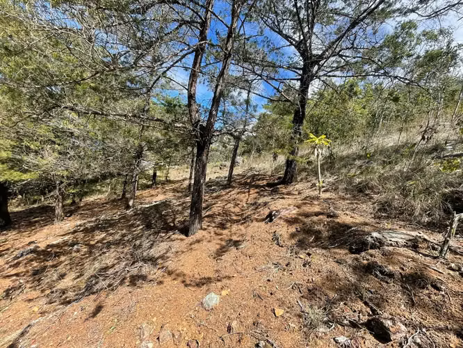 Lote de 1.916 m² en Tarrazú con Espectaculares Vistas