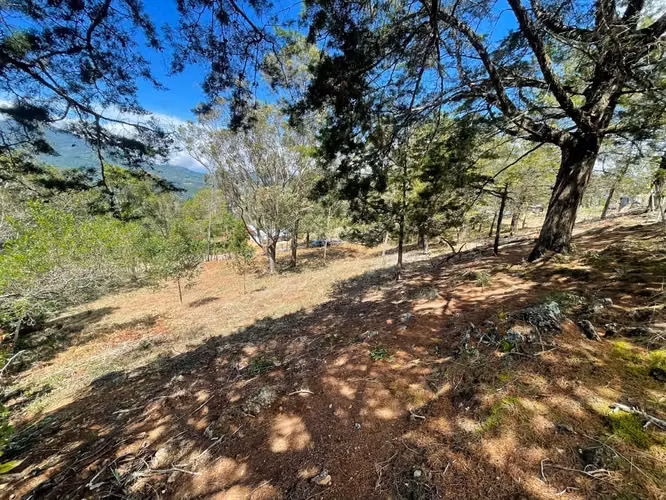 Lote de 1.916 m² en Tarrazú con Espectaculares Vistas