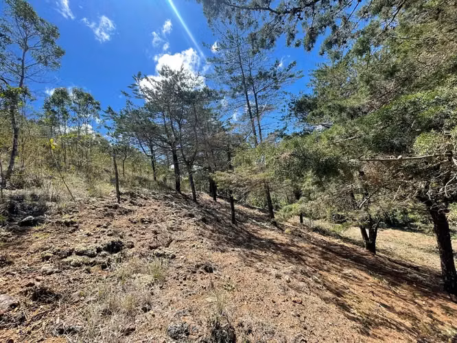 Lote de 1.916 m² en Tarrazú con Espectaculares Vistas