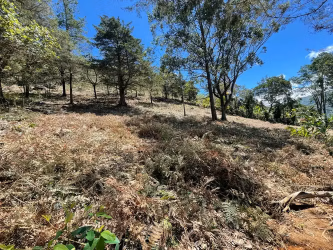 Lote de 1.916 m² en Tarrazú con Espectaculares Vistas
