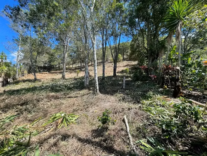 Lote de 1.916 m² en Tarrazú con Espectaculares Vistas