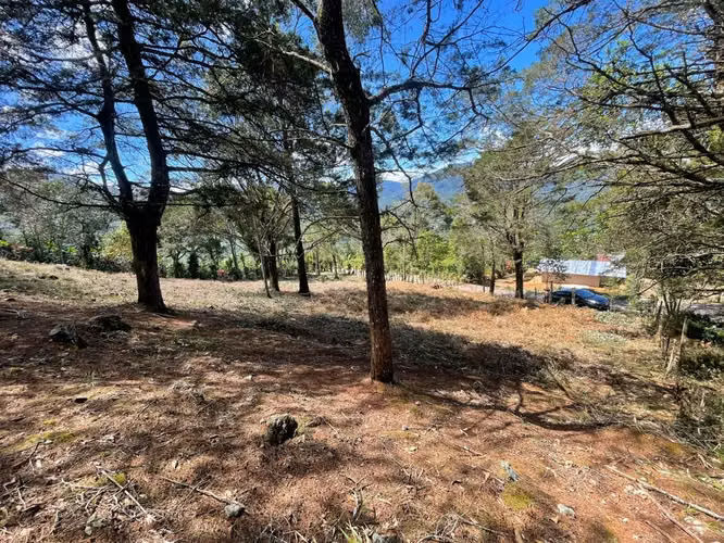 Lote de 1.916 m² en Tarrazú con Espectaculares Vistas