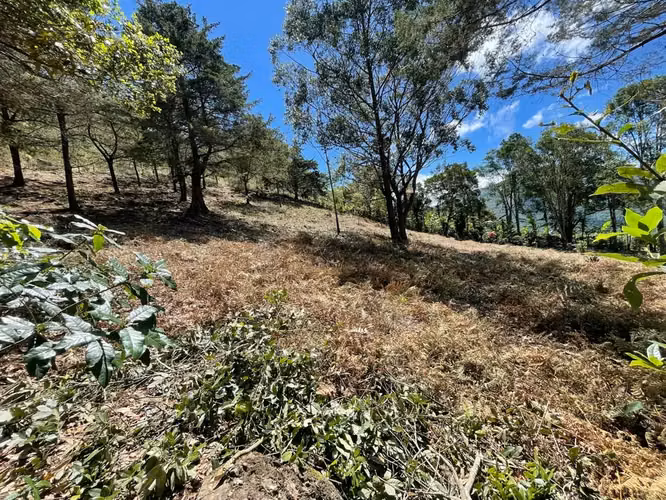 Lote de 1.916 m² en Tarrazú con Espectaculares Vistas