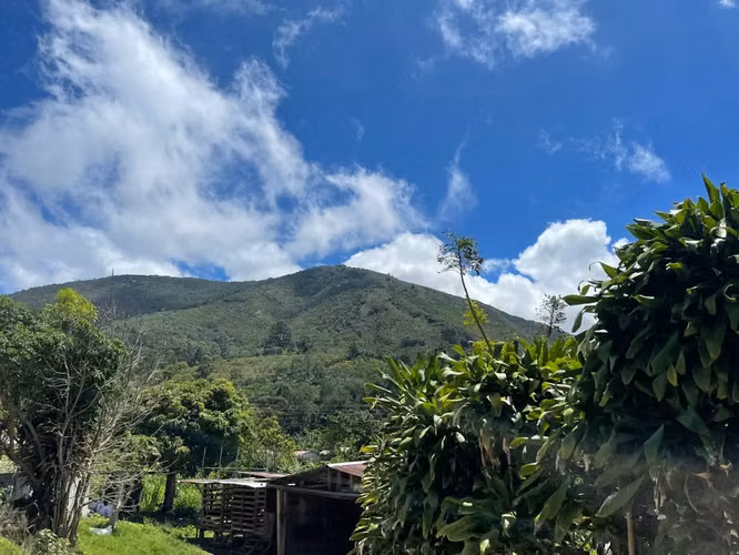Lote de 1.916 m² en Tarrazú con Espectaculares Vistas