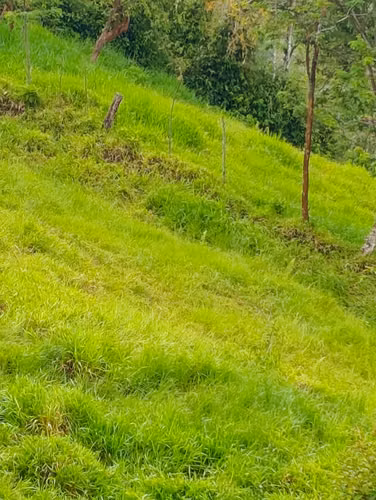 Se Vende Finca con Casa de Cemento- RA