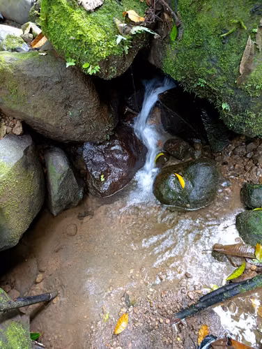 Se Vende Finca con Casa de Cemento- RA