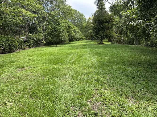 Venta Lote 3001 m2 Labrador, San Mateo, Alajuela.