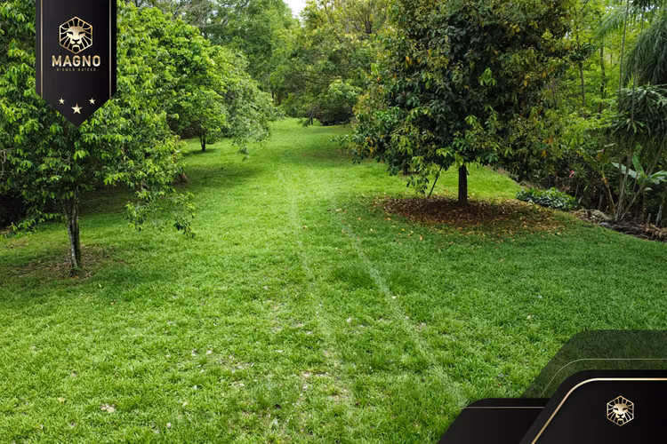 Venta Lote 3001 m2 Labrador, San Mateo, Alajuela.