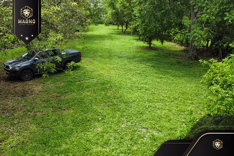Venta Lote 3001 m2 Labrador, San Mateo, Alajuela.