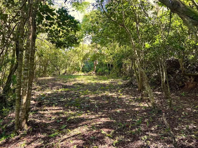 LOVELY Property -1,455 m² in TARBACA, Aserrí.