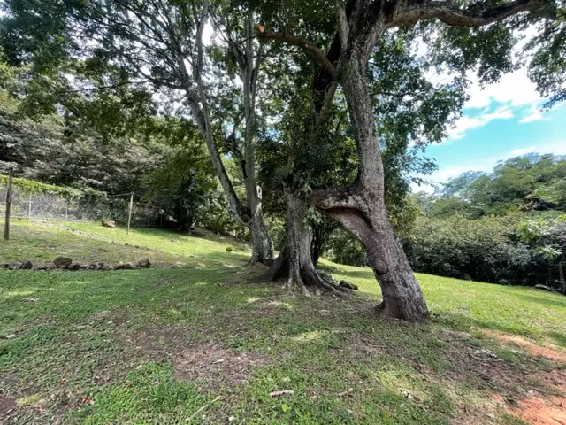 Hermosa casa en la naturaleza de Turrucares