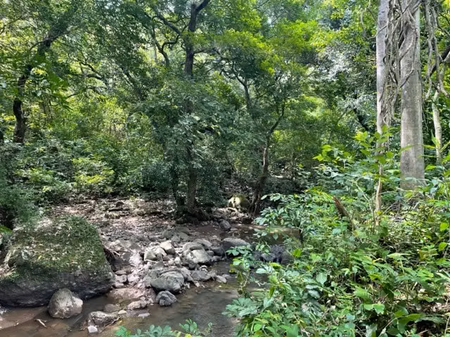 Hermosa casa en la naturaleza de Turrucares