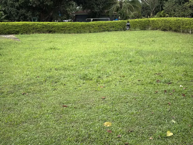 Venta Lote 1000 m2 en Orotina, Alajuela