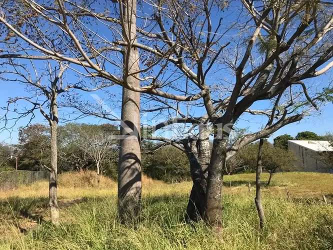 Venta de lote en Santa Ana