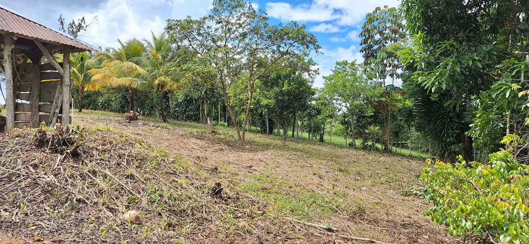 Venta de lote en Perez Zeledon - Imagen 3