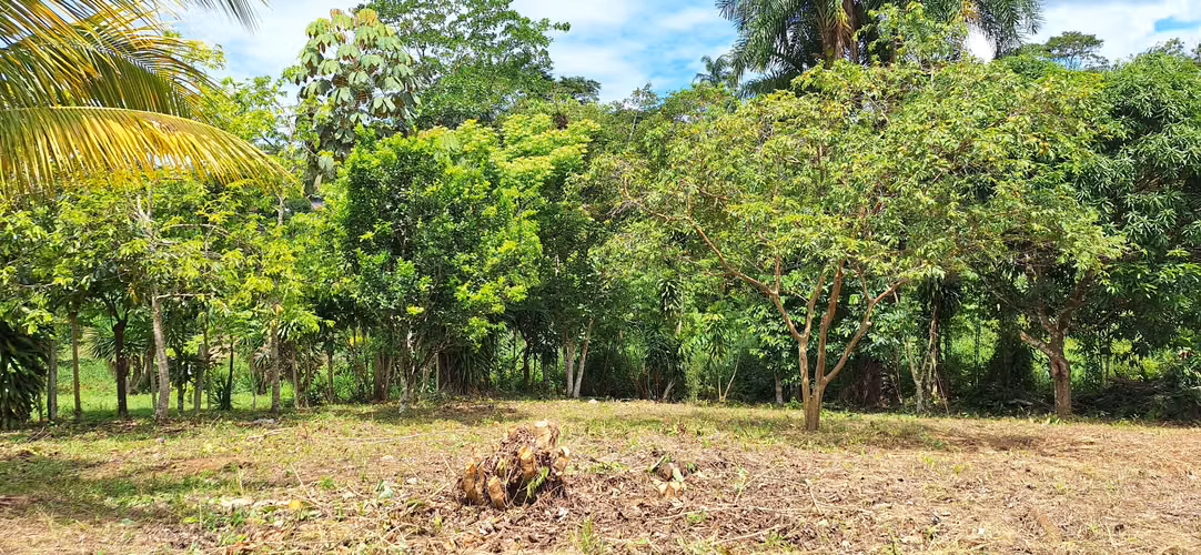 Venta de lote en Perez Zeledon - Imagen 9