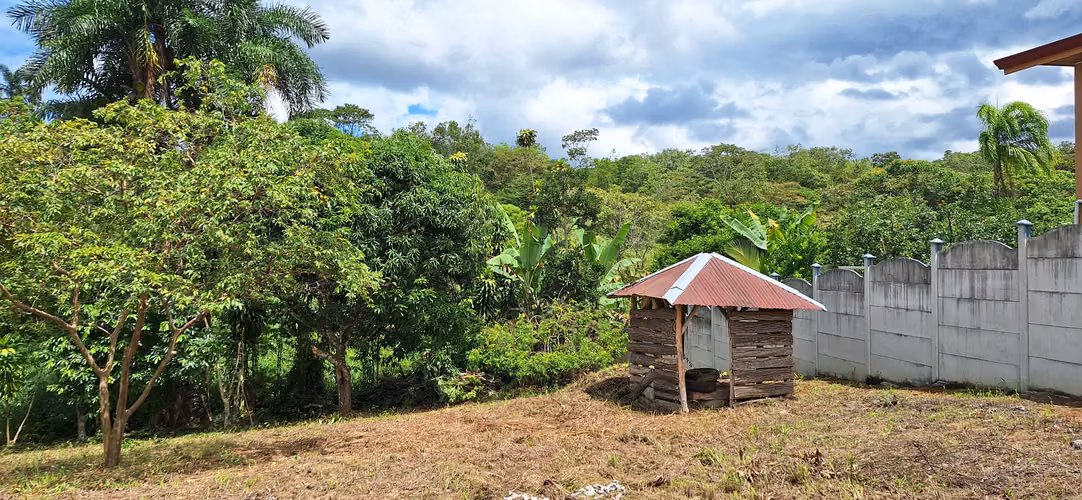 Venta de lote en Perez Zeledon - Imagen 2