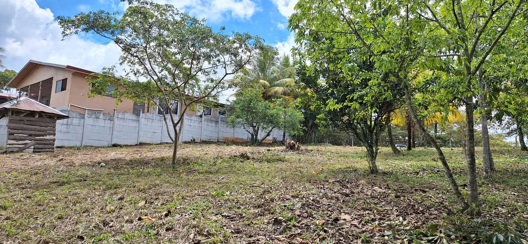 Venta de lote en Perez Zeledon - Imagen 6