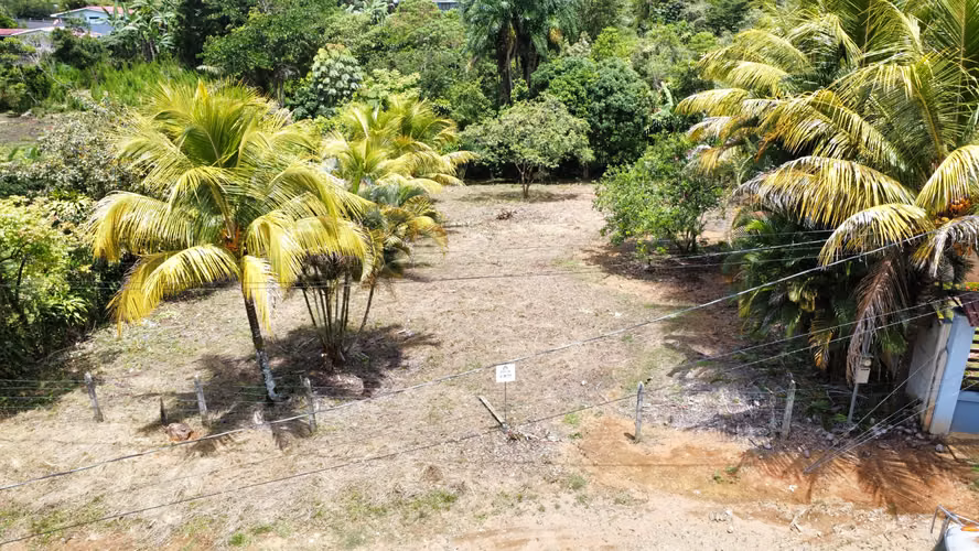 Venta de lote en Perez Zeledon - Imagen 14