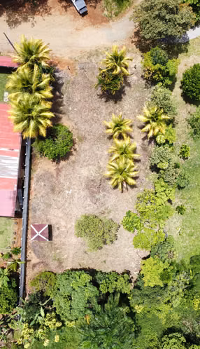 Venta de lote en Perez Zeledon - Imagen 12