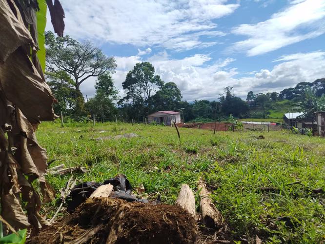 ¡Excelente oportunidad para comprar tu lote en Rio Cuarto de Alajuela! - Imagen 3