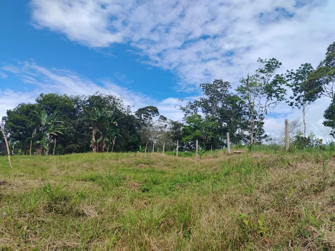 ¡Excelente oportunidad para comprar tu lote en Rio Cuarto de Alajuela! - Imagen 2