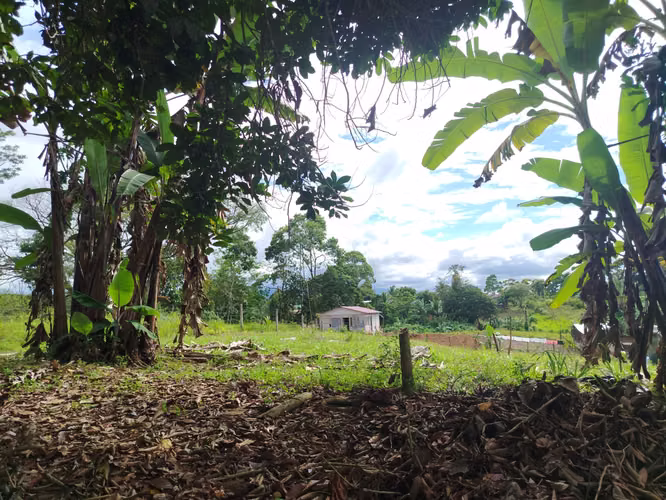¡Excelente oportunidad para comprar tu lote en Rio Cuarto de Alajuela! - Imagen 6