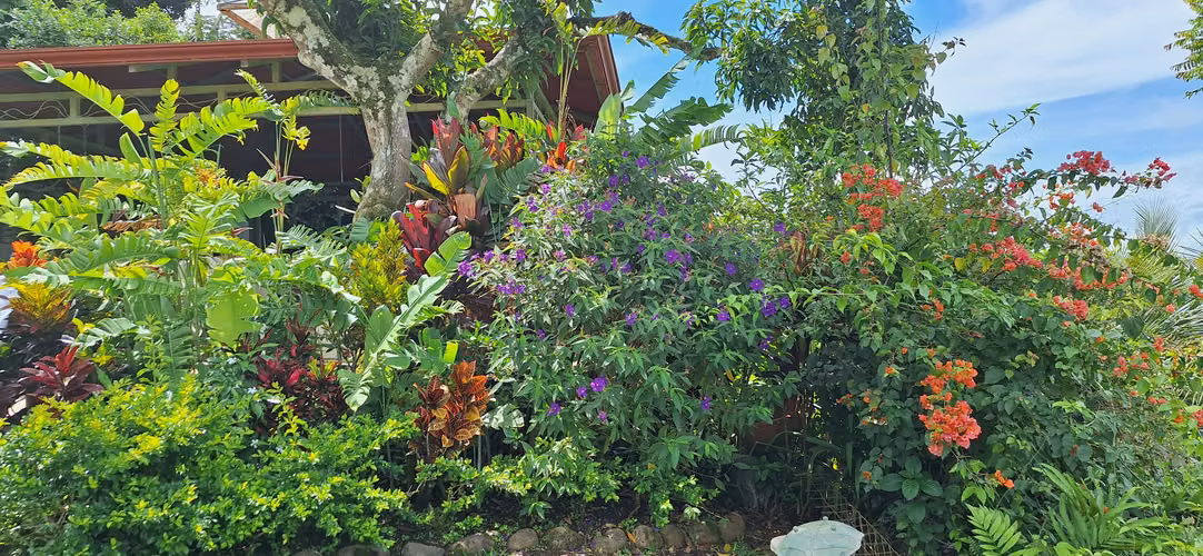 Venta de casa con vista a la ciudad de Perez Zeledon