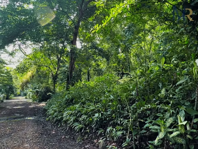 Oportunidad de Inversión Turística, en funcionamiento en Guanacaste