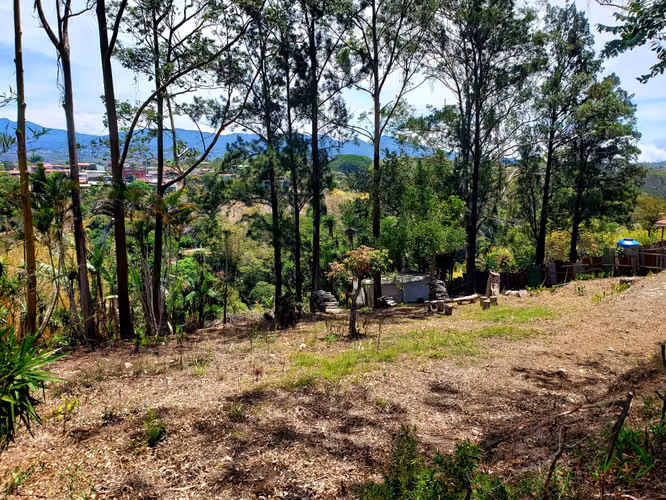HEREDIA STO. DOMINGO AMPLIO LOTE DE 3.400 M2 USO MIXTO. MP 25-129 - Imagen 16
