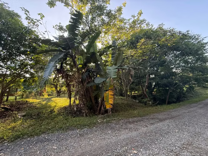LOTE EN VENTA – CUATRO ESQUINAS, OROTINA #1 - Imagen 7