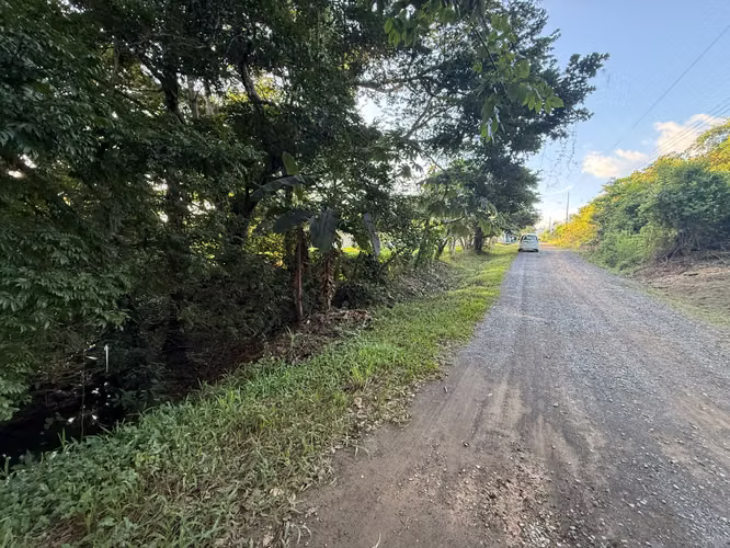 LOTE EN VENTA – CUATRO ESQUINAS, OROTINA #1 - Imagen 11