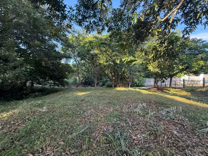 LOTE EN VENTA – CUATRO ESQUINAS, OROTINA #1 - Imagen 5