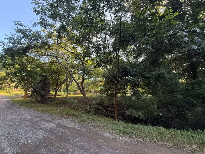 LOTE EN VENTA – CUATRO ESQUINAS, OROTINA #1 - Imagen 12