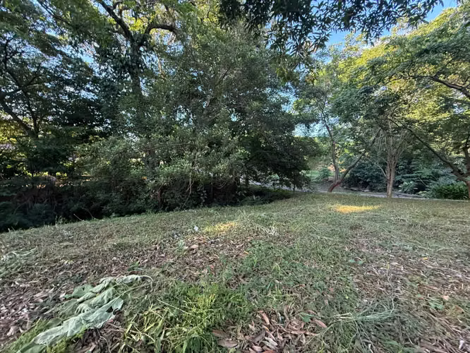 LOTE EN VENTA – CUATRO ESQUINAS, OROTINA #1 - Imagen 4