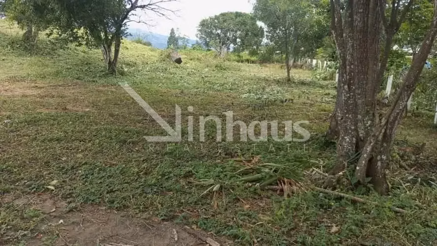 Venta de lote plano con vista al cañón Ciudad Colón - Imagen 3