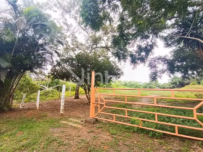 Venta de lote plano con vista al cañón Ciudad Colón - Imagen 6