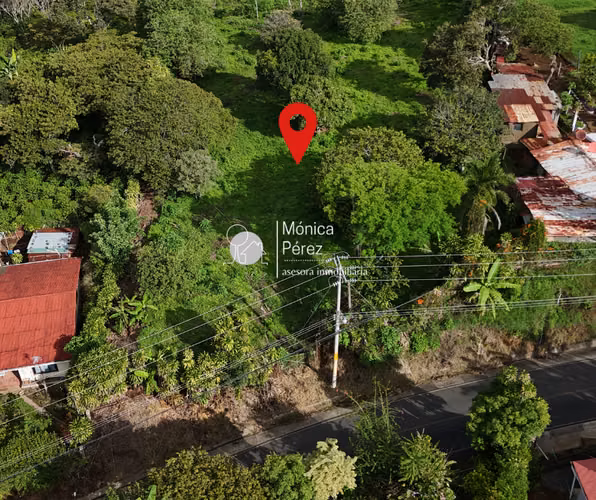 Terreno agrícola en venta en San Juan de Naranjo - Imagen 4
