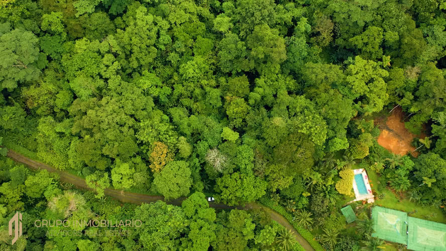 10.7-ACRE PRIVATE JUNGLE ESTATE IN COSTA RICA'S SOUTH CARIBBEAN-1