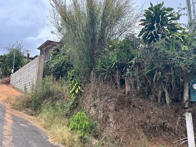VENDO LOTE en SANTIAGO de SAN RAMÓN, Calle Zeledón - Imagen 6