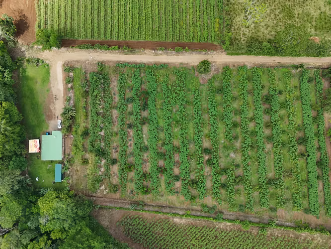 Terreno con Cabaña en Venta en La Fortuna | 14,300 m² | Vista al Volcán Arenal
