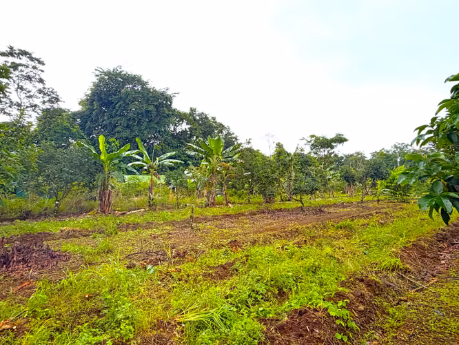 Terreno con Cabaña en Venta en La Fortuna | 14,300 m² | Vista al Volcán Arenal