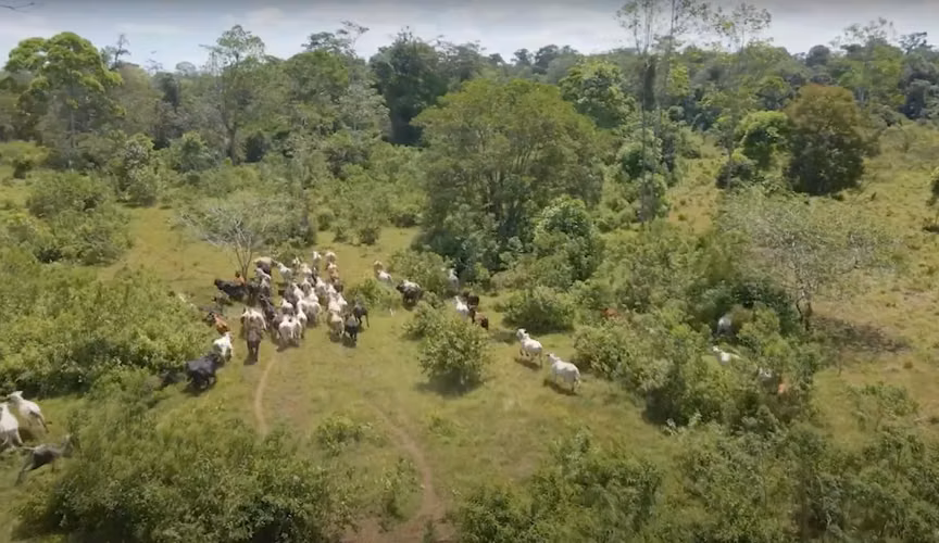 Finca 96 Has con río, nacientes, pozo, laguna, repastos y bosque en Cutris Sn Carlos