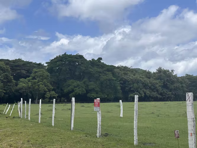 ¡OPORTUNIDAD DE INVERSIÓN EN EL JOBO, LA CRUZ, GUANACASTE! 